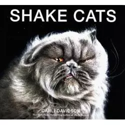 SHAKE CATS Carli Davidson - HarperCollins