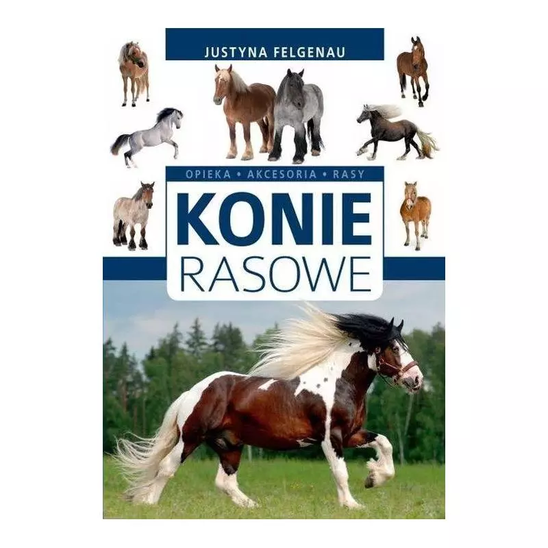 KONIE RASOWE Justyna Felgenau - SBM