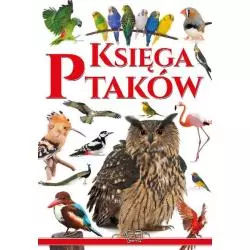 KSIĘGA 365 PTAKÓW - Arti