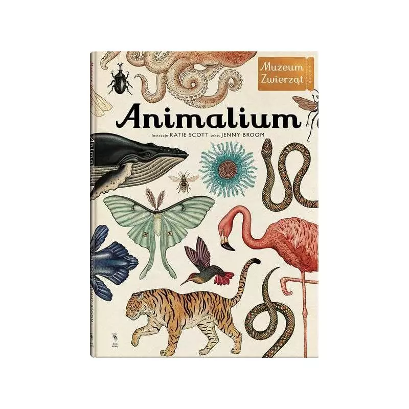 ANIMALIUM MUZEUM ZWIERZĄT Jenny Broom, Katie Scott - Dwie Siostry