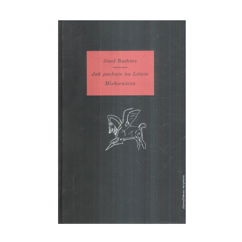 JAK PACHNIE NA LITWIE MICKIEWICZA Józef Bachórz - Słowo / obraz terytoria
