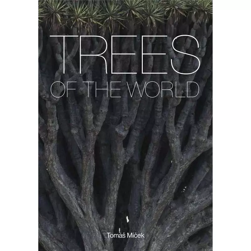 TREES OF THE WORLD - Konemann