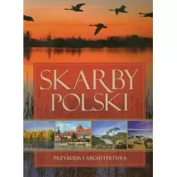 SKARBY POLSKI - Dragon