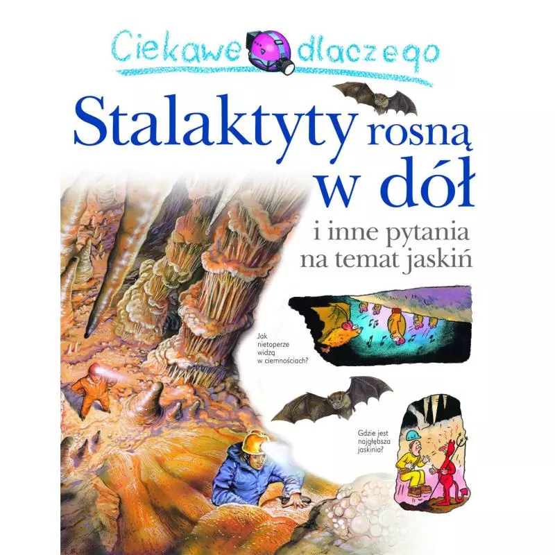 CIEKAWE DLACZEGO STALAKTYTY ROSNĄ W DÓŁ - Olesiejuk