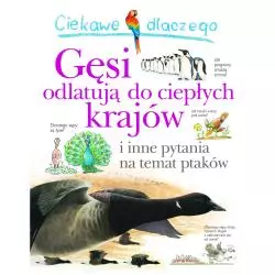 CIEKAWE DLACZEGO GĘSI ODLATUJĄ DO CIEPŁYCH KRAJÓW - Olesiejuk