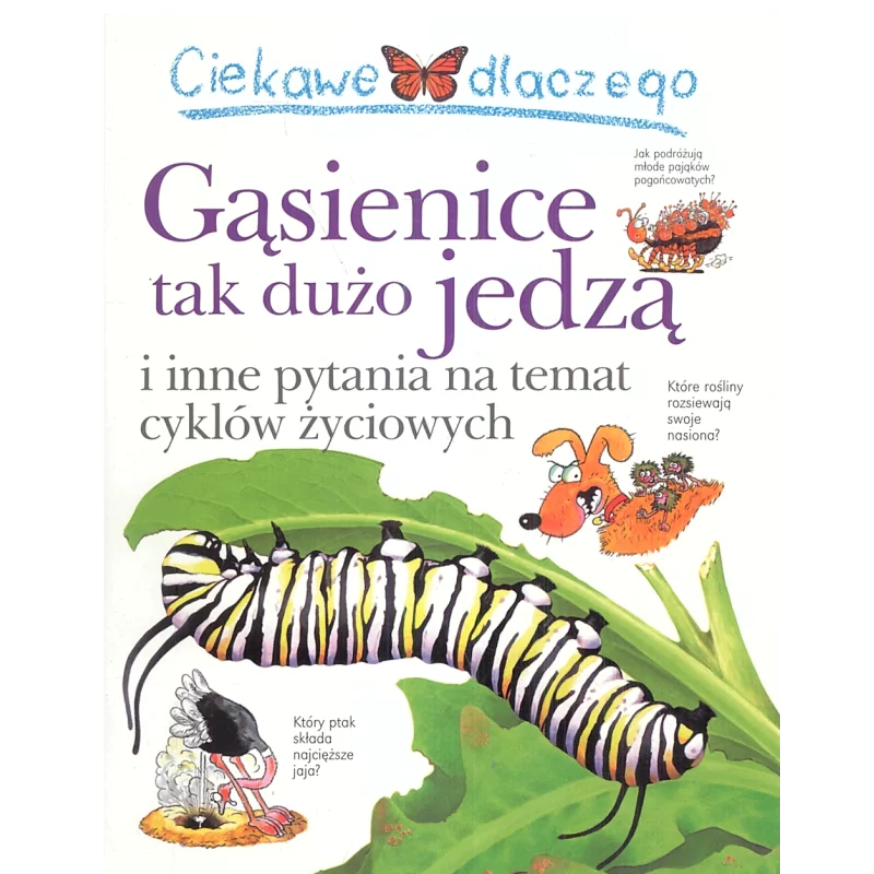 CIEKAWE DLACZEGO GĄSIENICE TAK DUŻO JEDZĄ Belinda Weber - Olesiejuk