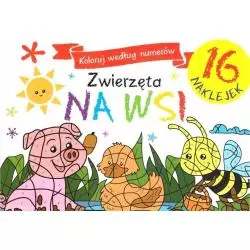 KOLORUJ WEDŁUG NUMERÓW ZWIERZĘTA NA WSI - Olesiejuk