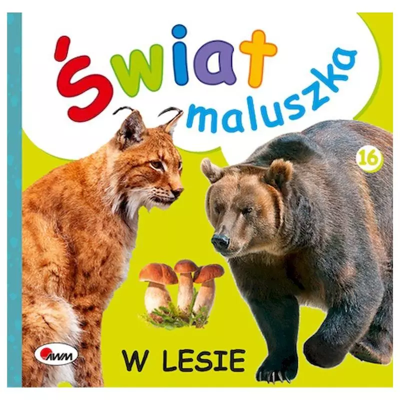 W LESIE ŚWIAT MALUSZKA 16 Piotr Kozera - AWM