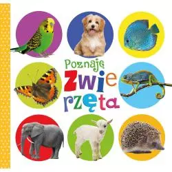 POZNAJĘ ZWIERZĘTA KSIĄŻECZKA Z PIKTOGRAMAMI - Wilga