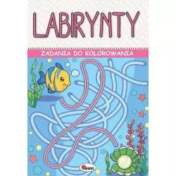 LABIRYNTY. ZADANIA DO KOLOROWANIA - AWM