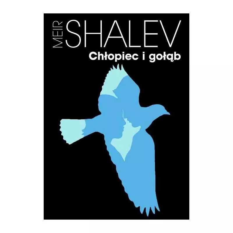 CHŁOPIEC I GOŁĄB Meir Shalev - Muza CHŁOPIEC I GOŁĄB Meir Shalev - Muza