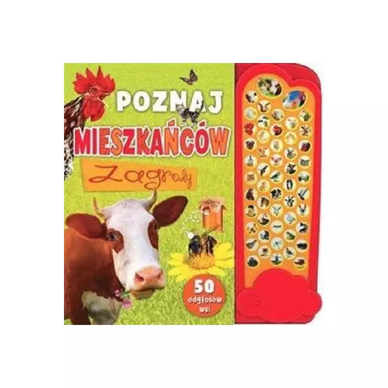 POZNAJ MIESZKAŃCÓW ZAGRODY KSIĄŻECZKA DŹWIĘKOWA - Olesiejuk