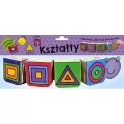 KSZTAŁTY KOLOROWE GĄSIENICE - Wilga