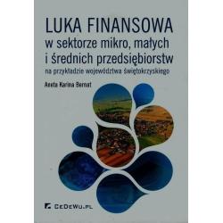 LUKA FINANSOWA W SEKTORZE...