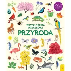 ENCYKLOPEDIA OBRAZKOWA PRZYRODA - Wilga