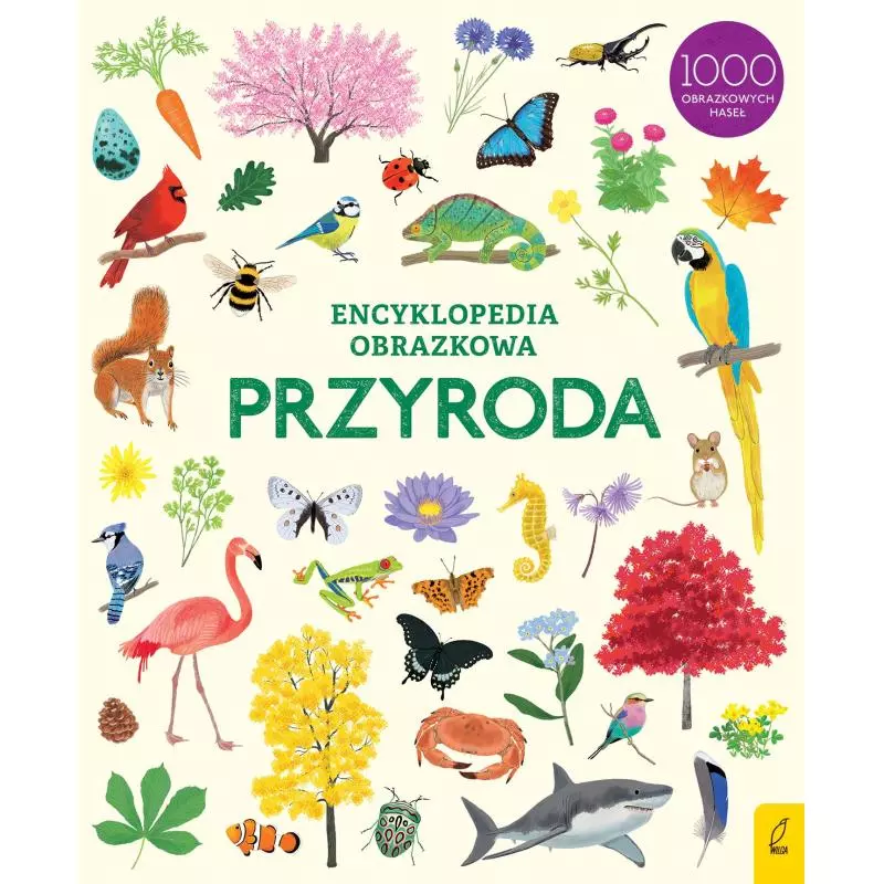 ENCYKLOPEDIA OBRAZKOWA PRZYRODA - Wilga