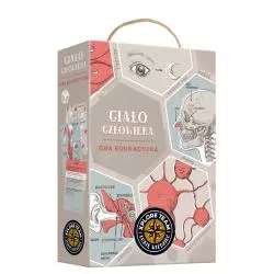 CIAŁO CZŁOWIEKA GRA EDUKACYJNA 11+ - Bright Junior Media