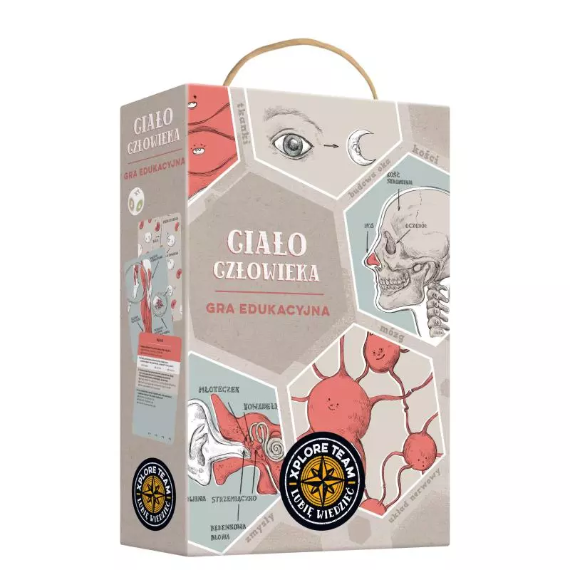 CIAŁO CZŁOWIEKA GRA EDUKACYJNA 11+ - Bright Junior Media