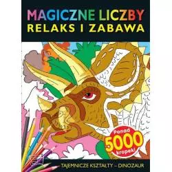 DINOZAUR TAJEMNICZE KSZTAŁTY MAGICZNE LICZBY - Arti