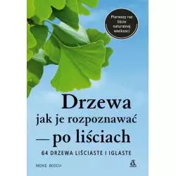 DRZEWA JAK JE ROZPOZNAWAĆ PO LIŚCIACH Meike Bosch - Amber