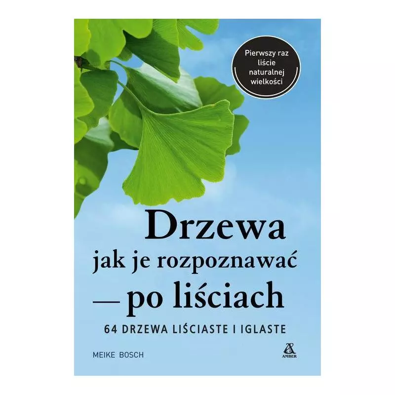 DRZEWA JAK JE ROZPOZNAWAĆ PO LIŚCIACH Meike Bosch - Amber