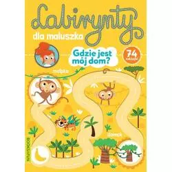 GDZIE JEST MÓJ DOM? LABIRYNTY DLA MALUSZKA - Books & Fun