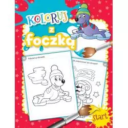 KOLORUJ Z FOCZKĄ - Olesiejuk