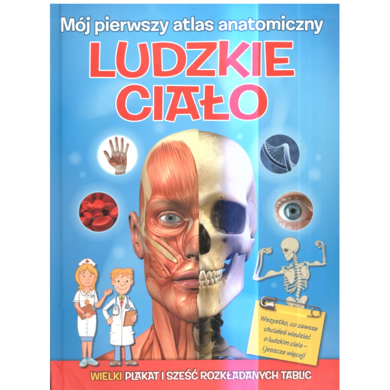 LUDZKIE CIAŁO. MÓJ PIERWSZY ATLAS ANATOMICZNY - Yoyo Books