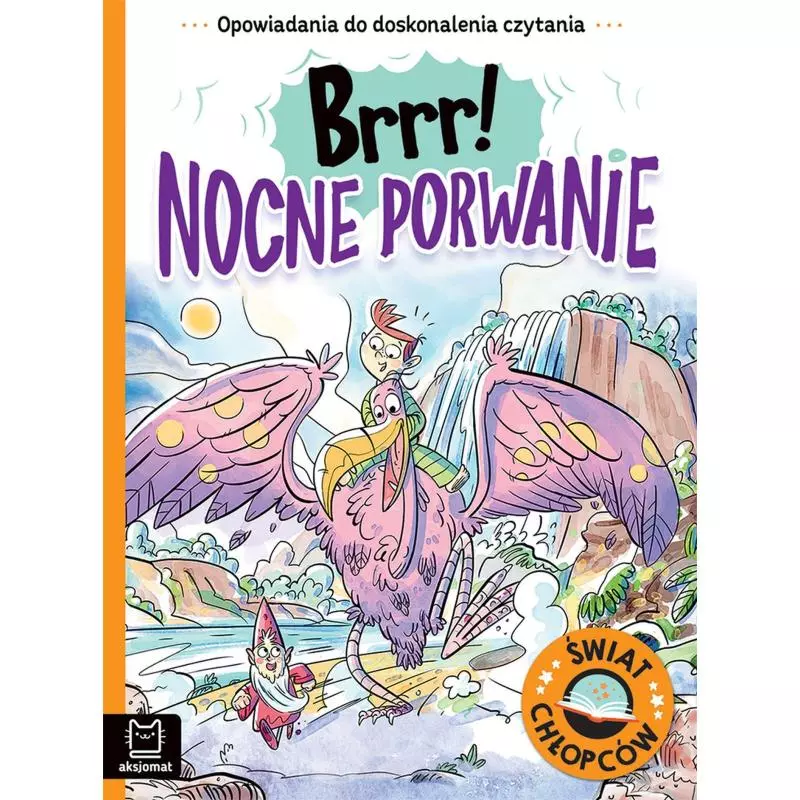 BRRR! NOCNE PORWANIE OPOWIADANIA DO DOSKONALENIA CZYTANIA. ŚWIAT CHłOPCóW Agata Giełczyńska-Jonik - Aksjomat