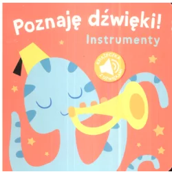 INSTRUMENTY. POZNAJĘ DŹWIĘKI! - Yoyo Books