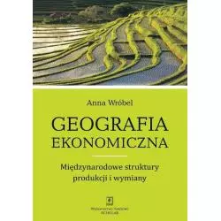 GEOGRAFIA EKONOMICZNA MIĘDZYNARODOWE STRUKTURY PRODUKCJI I WYMIANY Anna Wróbel - Scholar