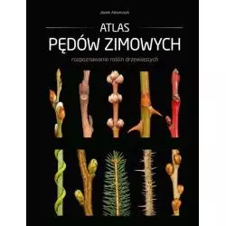 ATLAS PĘDÓW ZIMOWYCH Jacek Adamczyk - Multico