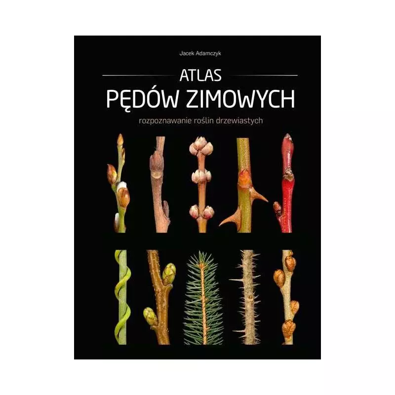 ATLAS PĘDÓW ZIMOWYCH Jacek Adamczyk - Multico