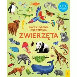 ZWIERZĘTA ENCYKLOPEDIA OBRAZKOWA - Wilga