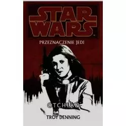 STAR WARS PRZEZNACZENIE JEDI OTCHŁAŃ Troy Denning - Amber