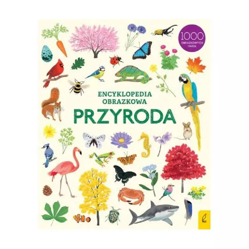 PRZYRODA ENCYKLOPEDIA OBRAZKOWA - Wilga