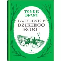 TAJEMNICE DZIKIEGO BORU 10+ Tonke Dragt - Dwie Siostry