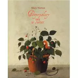 POŻYCZALSCY IDĄ W ŚWIAT 2 Mary Norton - Dwie Siostry