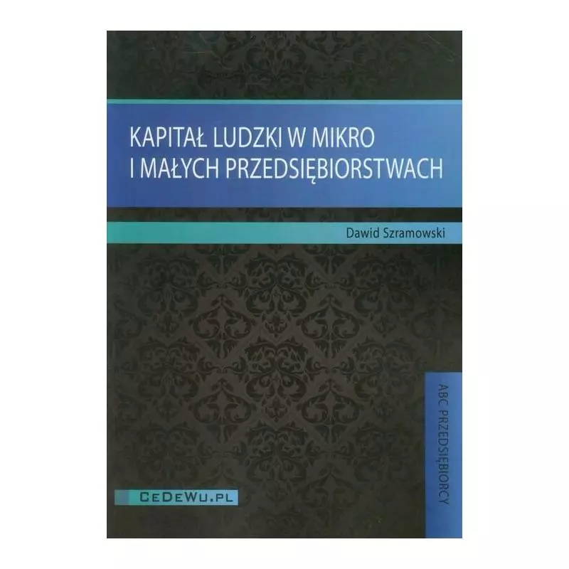 KAPITAŁ LUDZKI W MIKRO I MAŁYCH PRZEDSIĘBIORSTWACH Dawid Szramowski - CEDEWU