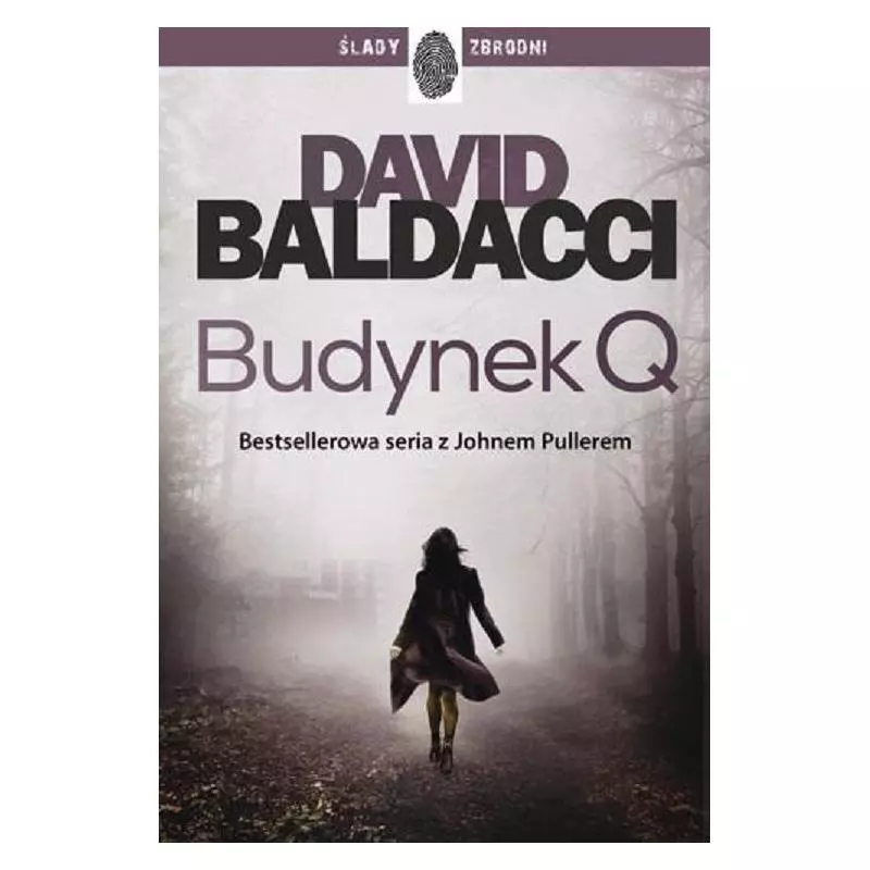 BUDYNEK Q David Baldacci - Dolnośląskie