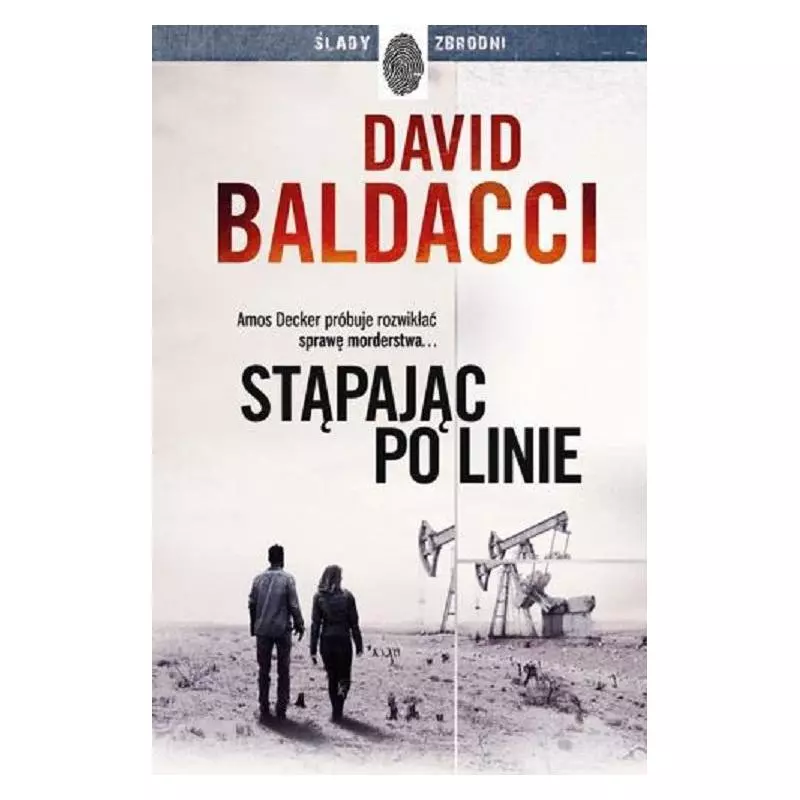 STĄPAJĄC PO LINIE David Baldacci - Dolnośląskie