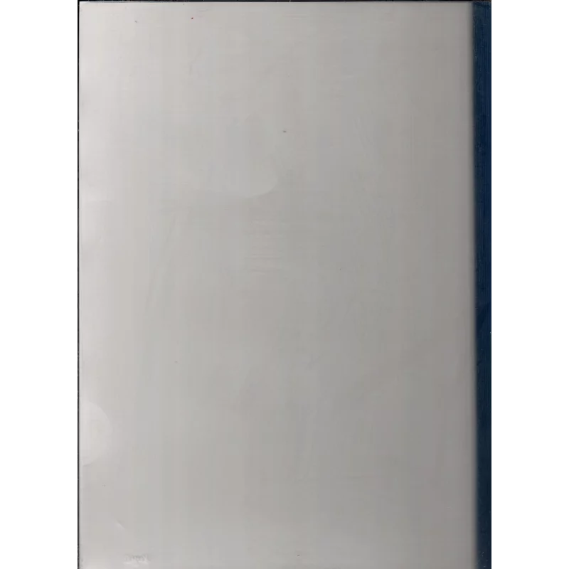 SKOROSZYTY A4 4SZT. - Joinco