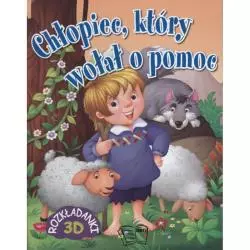 CHŁOPIEC, KTÓRY WOŁAŁ O POMOC. ROZKŁADANKI 3D - Arti