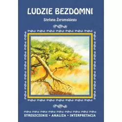 LUDZIE BEZDOMNI STEFANA ŻEROMSKIEGO STRESZCZENIE, ANALIZA, INTERPRETACJA Justyna Kubryn - Literat