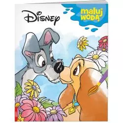 DISNEY MALUJ WODĄ - Ameet