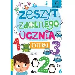 CYFERKI. ZESZYT ZDOLNEGO UCZNIA Z NAKLEJKAMI - Books and Fun