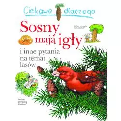 CIEKAWE DLACZEGO SOSNY MAJĄ IGŁY I INNE PYTANIA NA TEMAT LASÓW - Olesiejuk