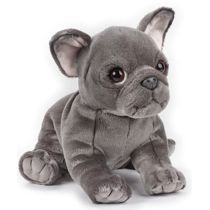 BULDOG FRANCUSKI MASKOTKA PIES NATIONAL GEOGRAPHIC - Dante