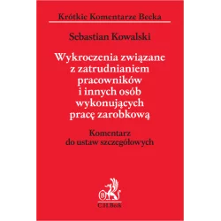 WYKROCZENIA ZWIĄZANE Z ZATRUDNIANIEM PRACOWNIKÓW I INNYCH OSÓB WYKONUJĄCYCH PRACĘ ZAROBKOWĄ Sebastian Kowalski - C.H. Beck