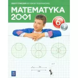 MATEMATYKA 2001 6 ZESZYT ĆWICZEŃ 3 Jerzy Chodnicki, Mirosław Dąbrowski, Agnieszka Pfeiffer - WSiP